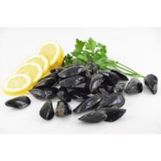 Rock mussels  